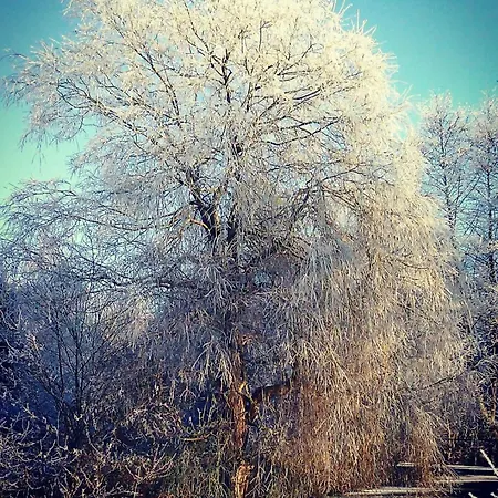 Landidyll アパート Bulstedt