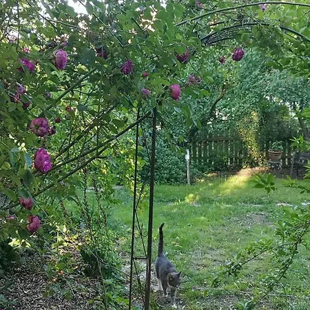 Апартаменты Landidyll Bulstedt